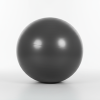Gym Exercise Ball